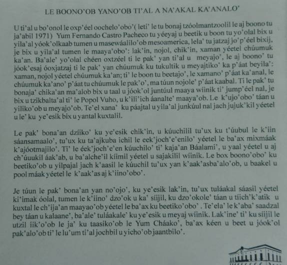 Quem se habilita a ler um texto no idioma maia? (em Mérida, no sul do México)